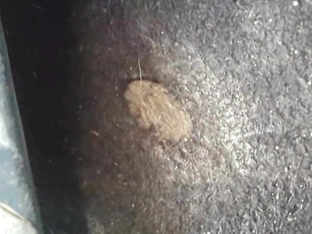 PictureAlt