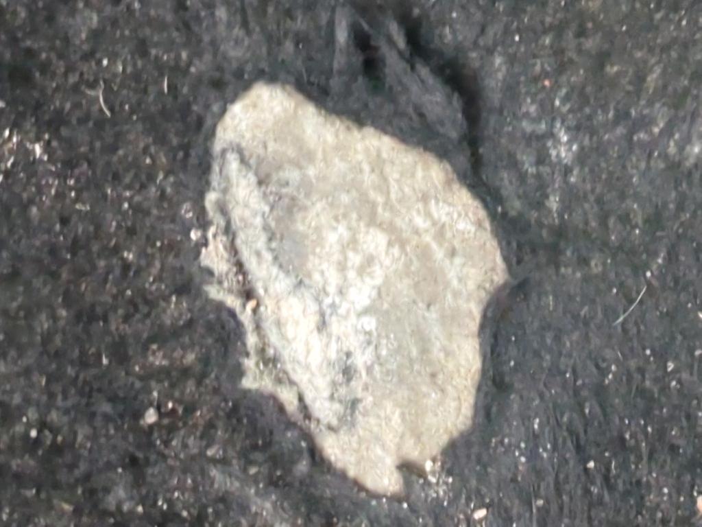 PictureAlt