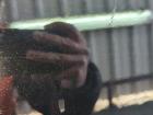 PictureAlt