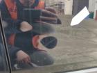 PictureAlt