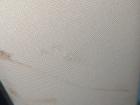 PictureAlt