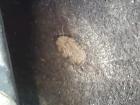 PictureAlt